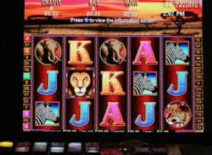 78m.ppt威久国际免费版最新版